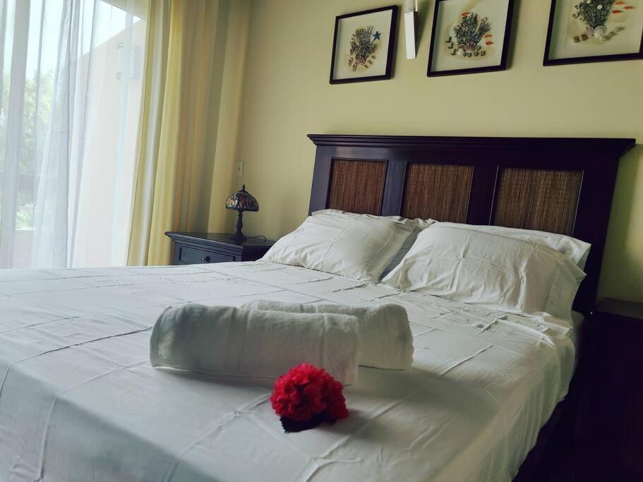 Aruba Family Oasis 2Br Pool 3Min Walk To Eagle Beach Palm Beach Екстер'єр фото