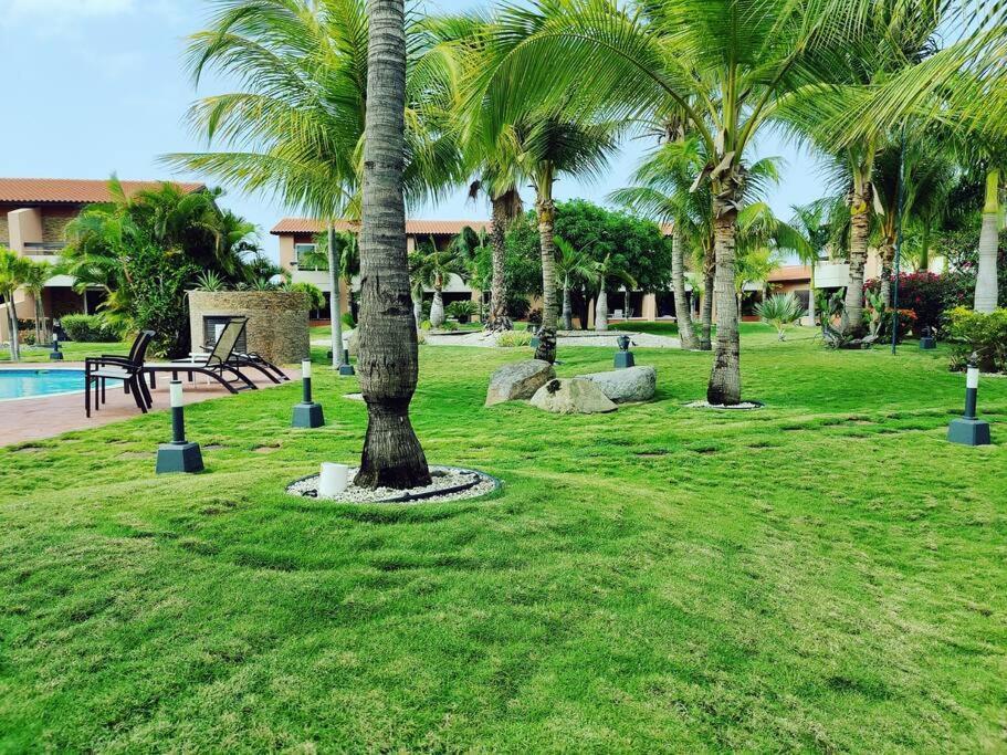 Aruba Family Oasis 2Br Pool 3Min Walk To Eagle Beach Palm Beach Екстер'єр фото