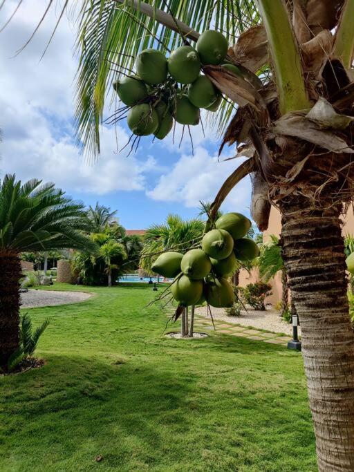 Aruba Family Oasis 2Br Pool 3Min Walk To Eagle Beach Palm Beach Екстер'єр фото