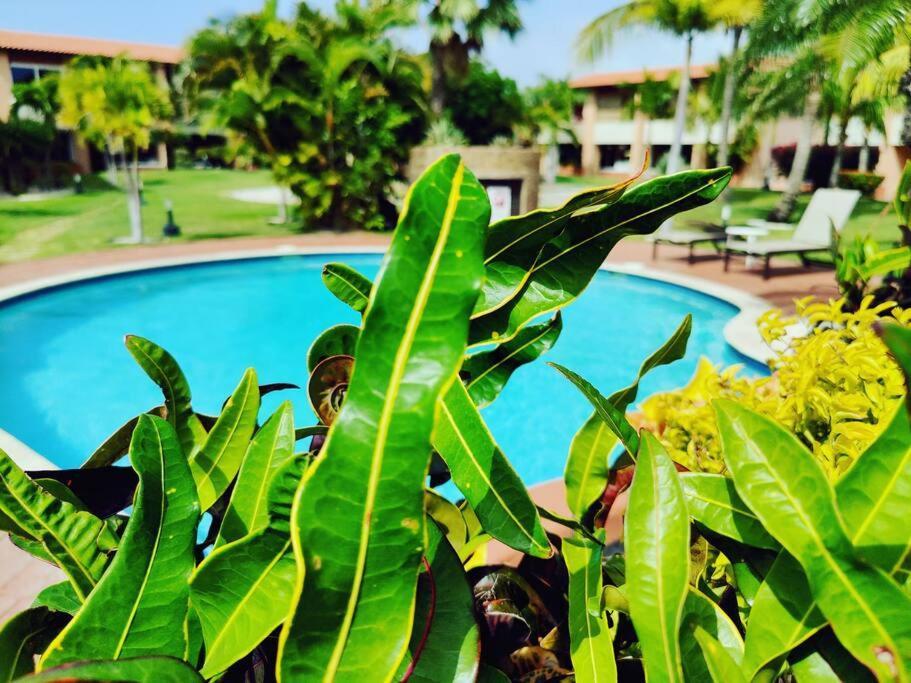 Aruba Family Oasis 2Br Pool 3Min Walk To Eagle Beach Palm Beach Екстер'єр фото