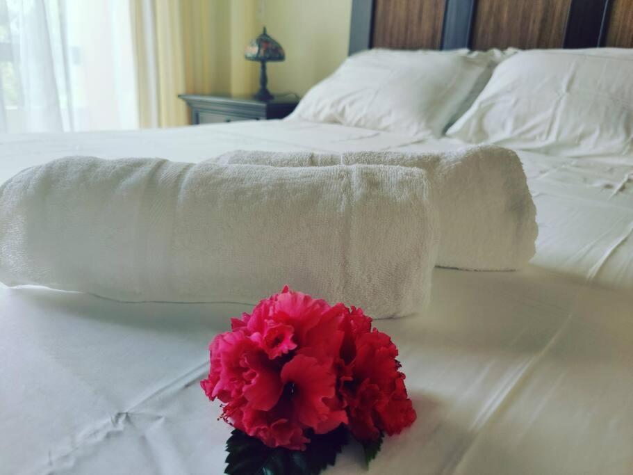 Aruba Family Oasis 2Br Pool 3Min Walk To Eagle Beach Palm Beach Екстер'єр фото