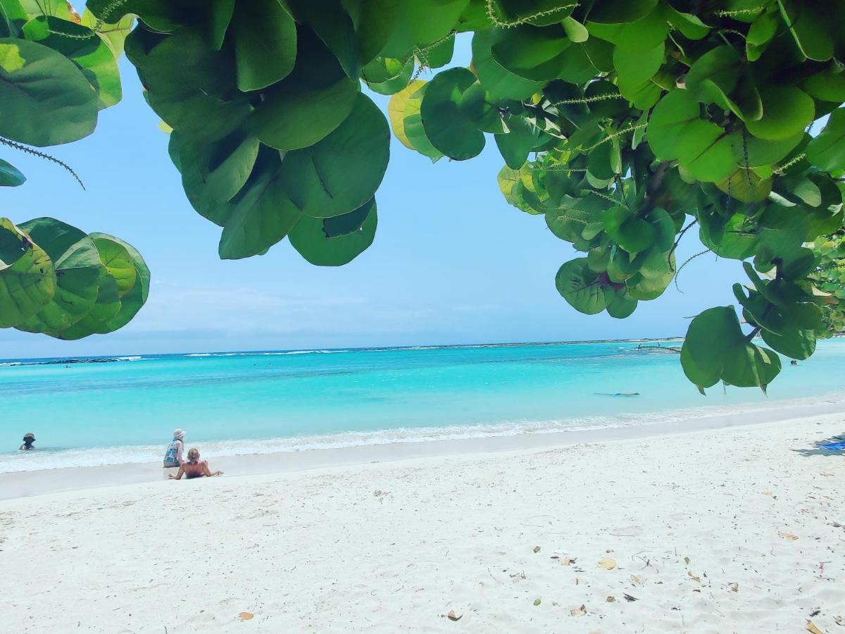 Aruba Family Oasis 2Br Pool 3Min Walk To Eagle Beach Palm Beach Екстер'єр фото